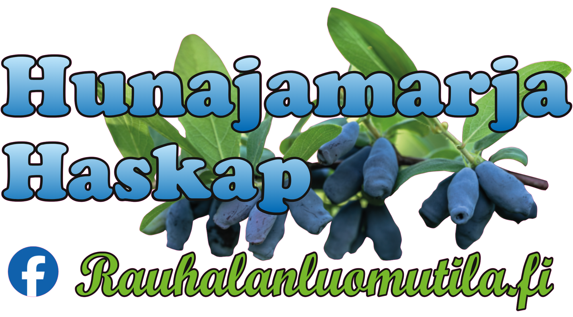 Rauhalan Luomutila - Hunajamarja